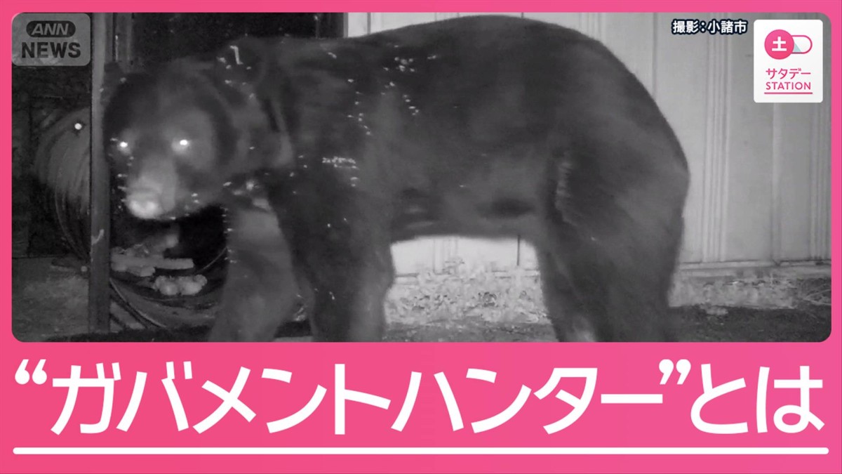クマ被害急増で人材不足露呈 切望される“ガバメントハンター”とは