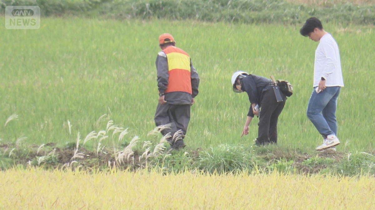 秋田・能代市　散歩中にクマの親子3頭と遭遇　78歳女性が背中引っかかれる