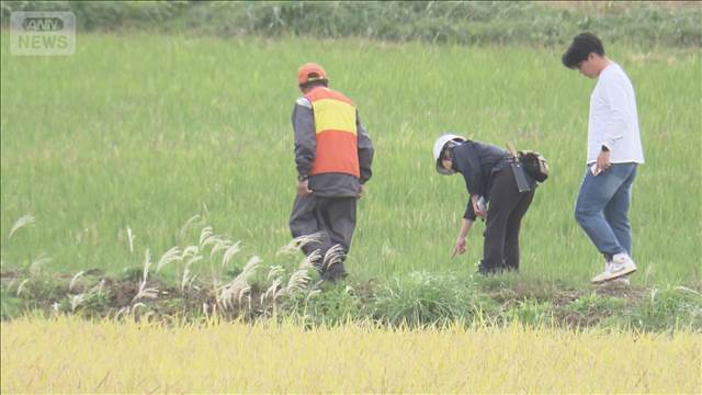 秋田・能代市　散歩中にクマの親子3頭と遭遇　78歳女性が背中引っかかれる