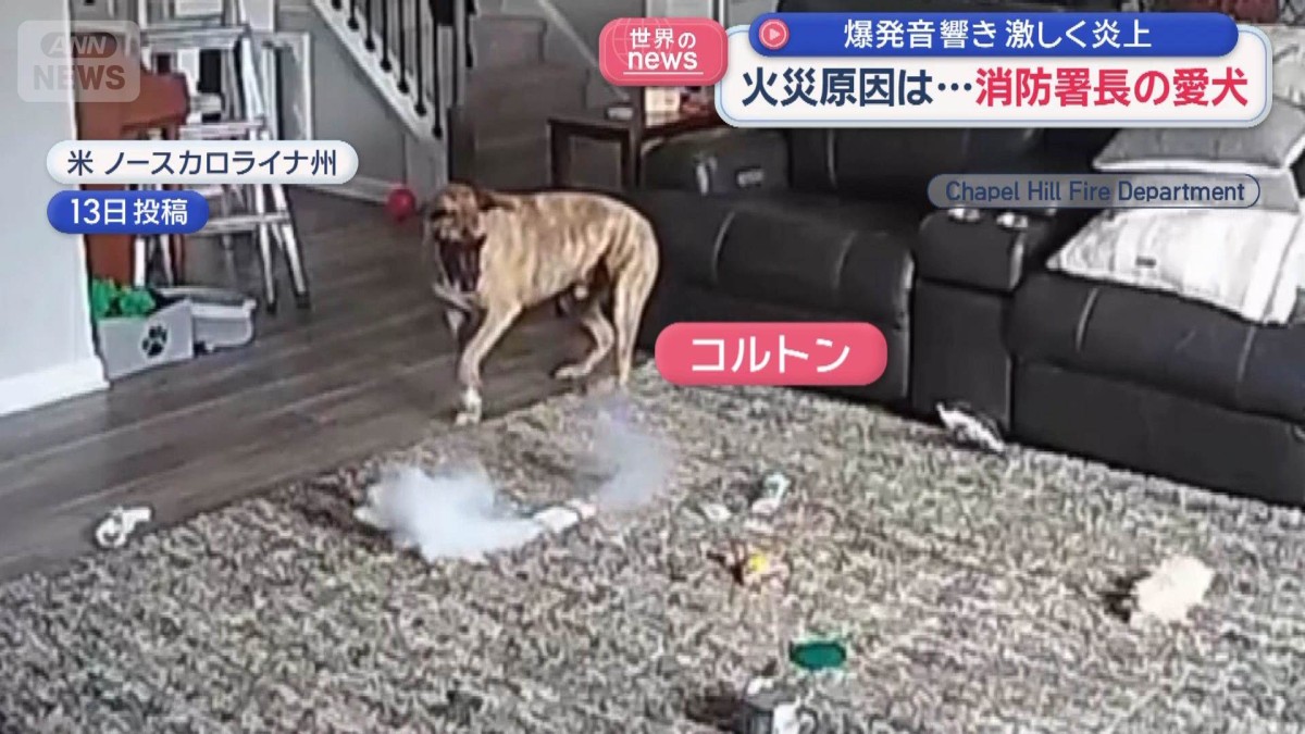 火災原因は…消防署長の愛犬 爆発音響き激しく炎上 米ノースカロライナ州