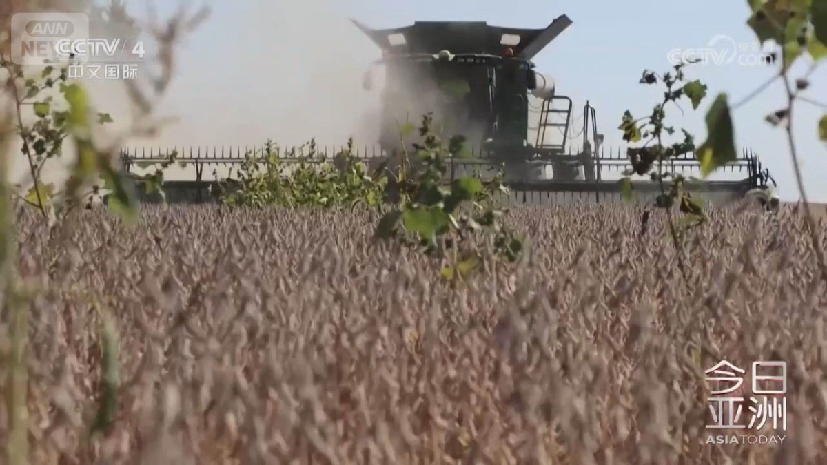 米中貿易摩擦　中国の9月アメリカ産大豆の輸入がゼロ　輸入先の南米シフト鮮明に