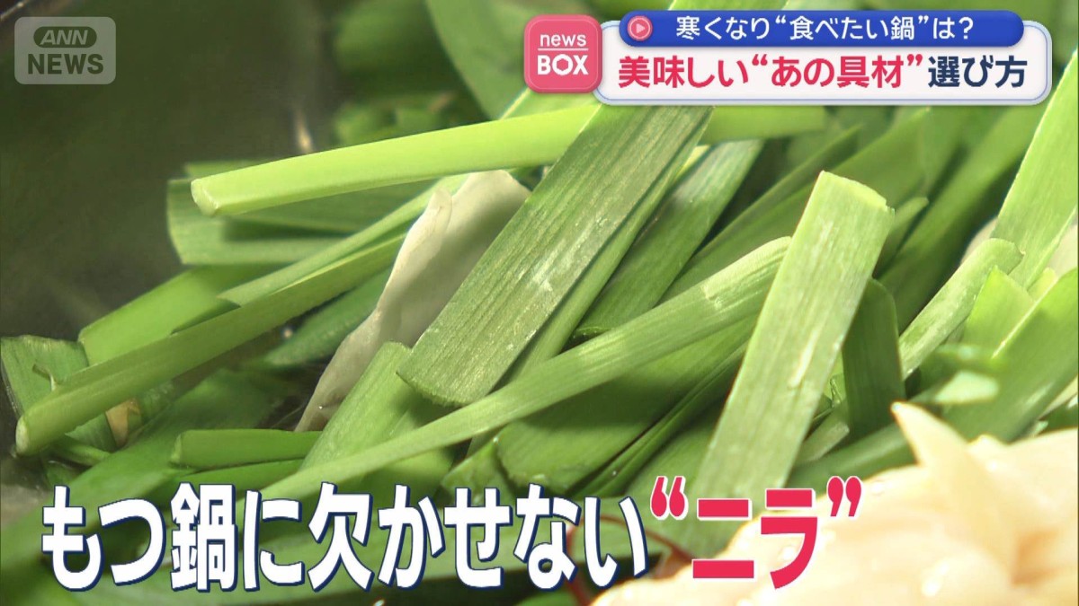 “ニラ”美味しい選び方　“どの部分”見て買えばいい？