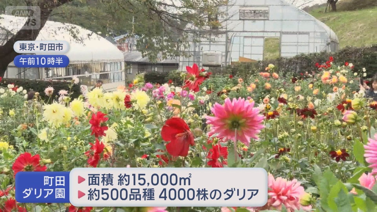 “深まる秋”に歓喜　豚汁に行列　東京最高17℃　一番の冷え込み