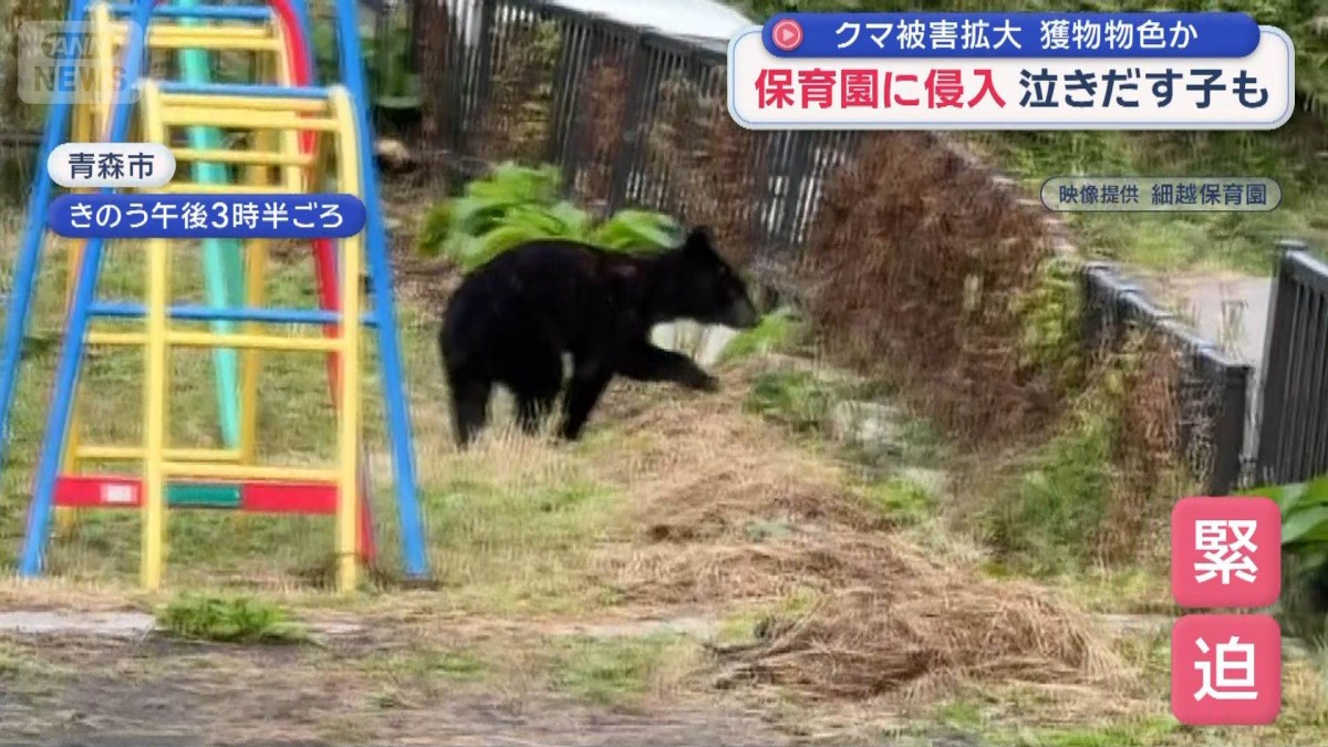 クマ被害拡大　保育園に侵入　泣きだす子も…　住宅地で5日間に3回も…緊迫の一部始終