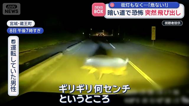 暗い道で恐怖 突然飛び出し　街灯もなく…「危ない!」 2025年10月22日(水)