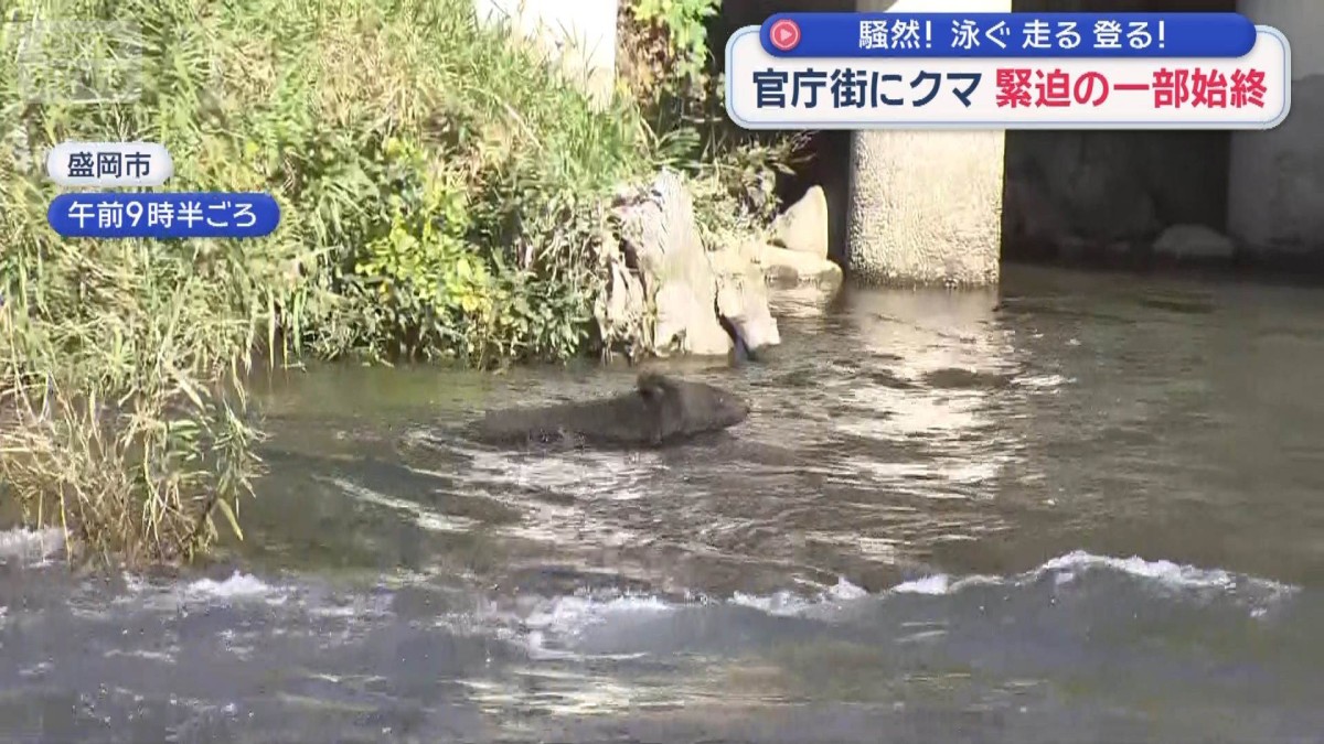 “冬眠しないクマ”街に定着?生活圏で被害増 官庁街にも…緊迫の一部始終