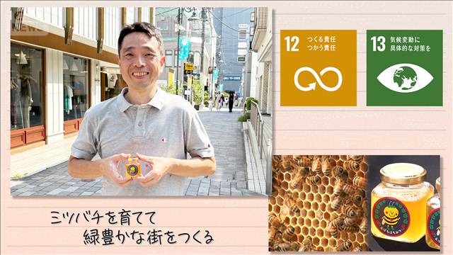 【SDGs】ミツバチを育てて緑豊かな街をつくる