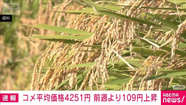 【速報】コメ平均価格が5週ぶりの上昇　5キロあたり4251円（前週比+109円）