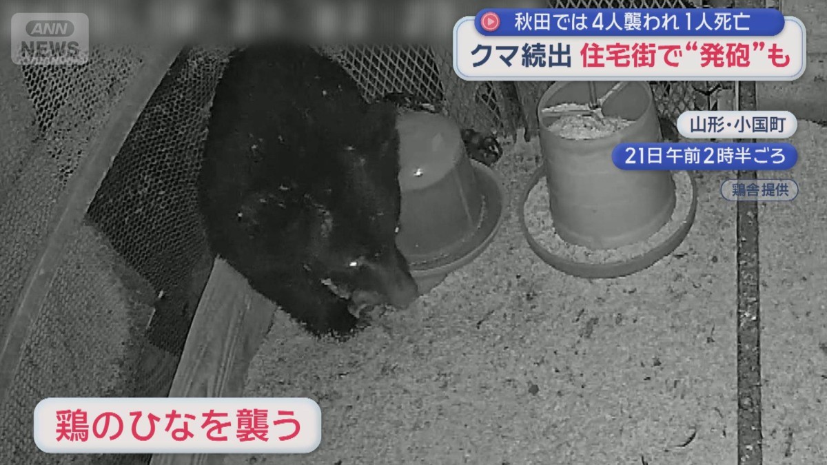 クマ続出… 住宅街で“発砲”も　農作物への被害1000万円　対応追われる