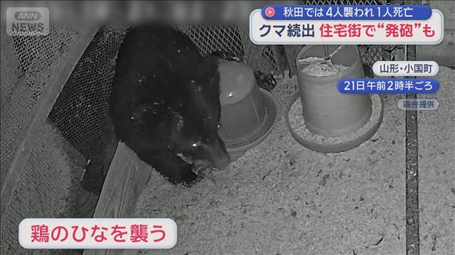 クマ続出… 住宅街で“発砲”も 農作物への被害1000万円 対応追われる