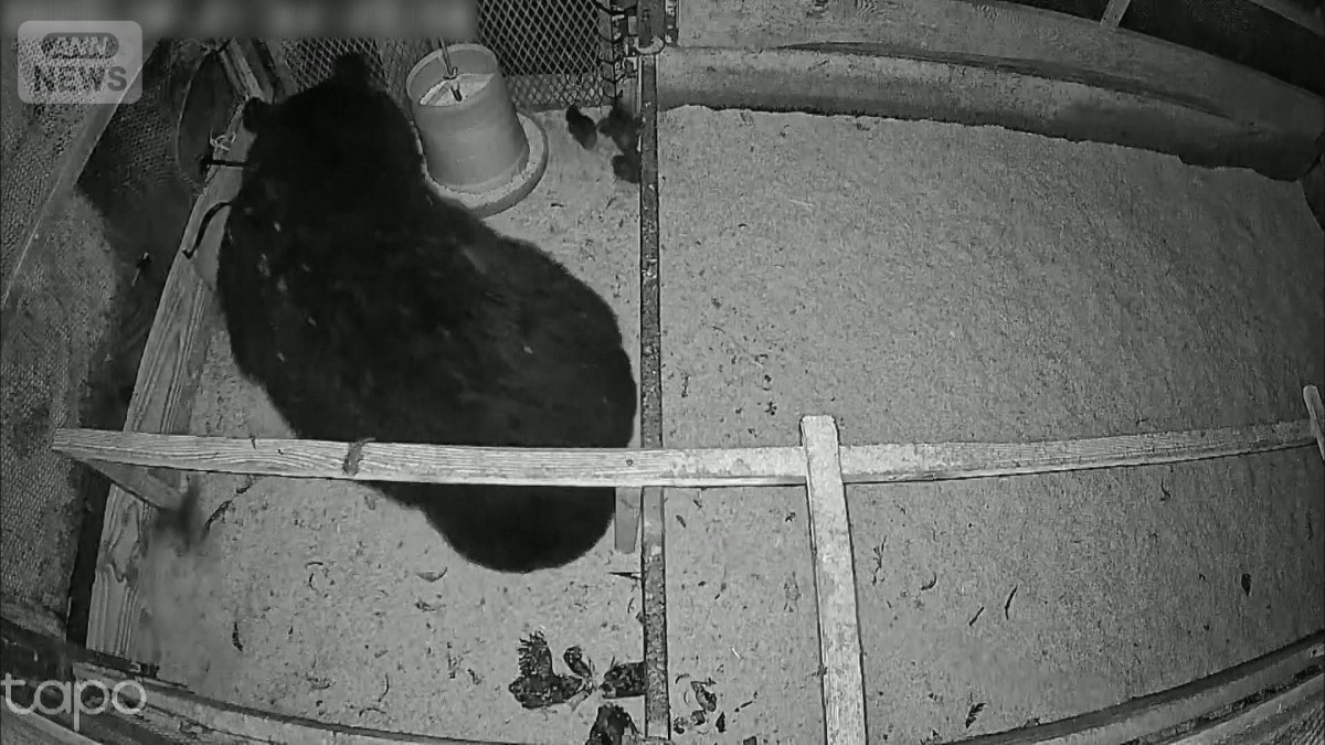 秋田でクマが4人襲い1人死亡 山形では鶏小屋襲撃…150羽被害 専門家「常習化危険」