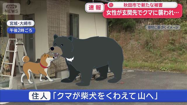 【速報】女性が玄関先でクマに襲われ… 秋田市で新たな被害