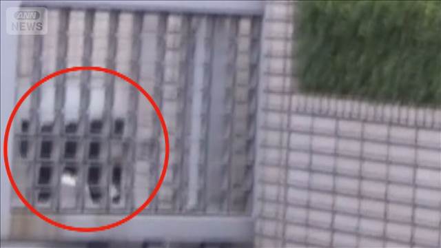 盛岡市の中心街にクマ 吹き矢で捕獲「本当に怖い」
