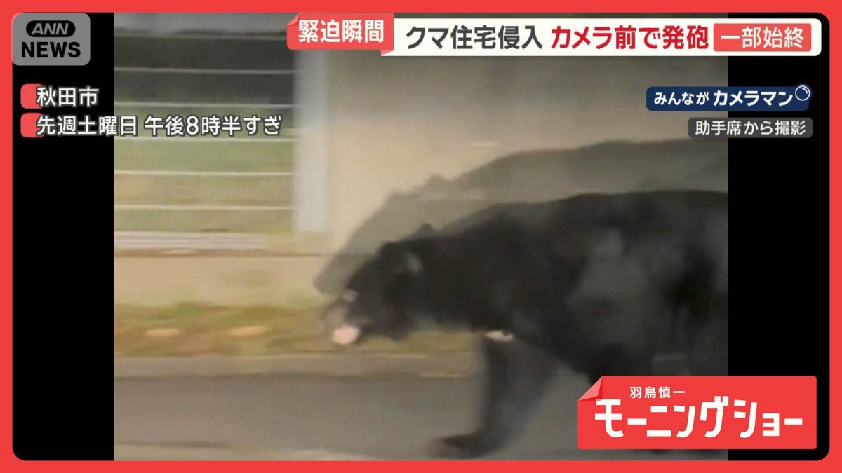 クマ住宅侵入…発砲3発 秋田では自動ドア侵入「もう限界」自衛隊派遣要請へ