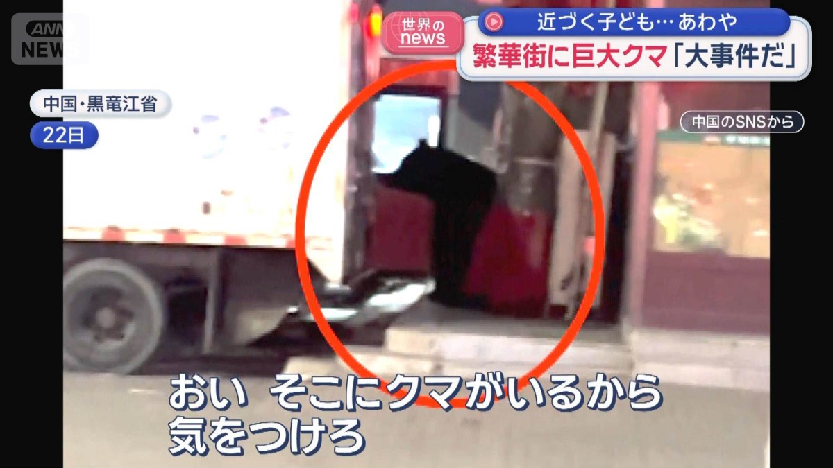 繁華街に巨大クマ「大事件だ」　近づく子ども…あわや