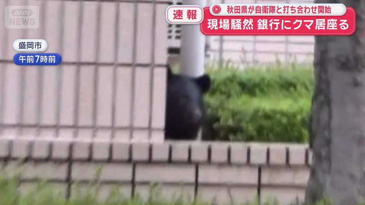 現場騒然 銀行にクマ立てこもる 秋田県が自衛隊と打ち合わせ開始