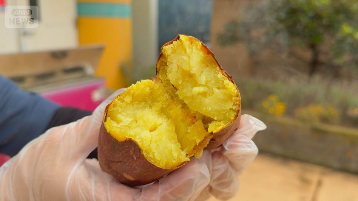 不作予想もサツマイモ豊作　遊園地でお得なキャンペーン　焼き芋移動販売もスタート