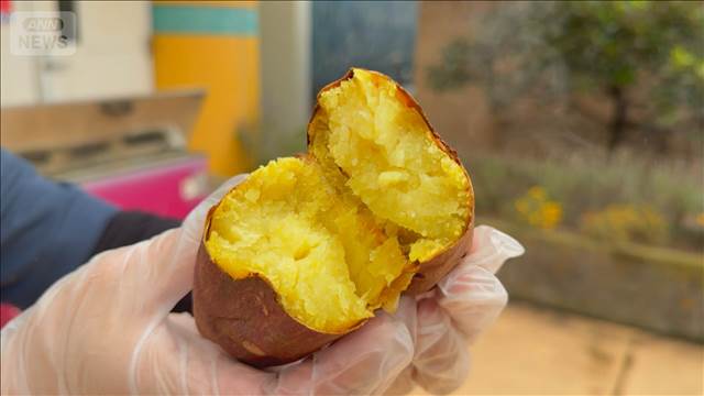不作予想もサツマイモ豊作　遊園地でお得なキャンペーン　焼き芋移動販売もスタート