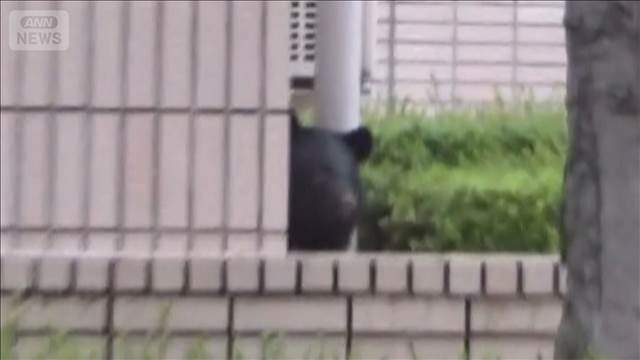 岩手銀行本店にクマ立てこもり 秋田ではクマ被害自衛隊派遣へ