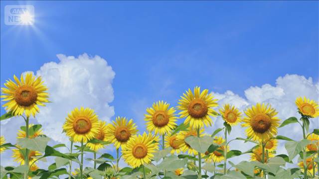 “二季化”する日本の四季　冬は変わらずも夏が3週間延び「秋と春が縮む」三重大研究