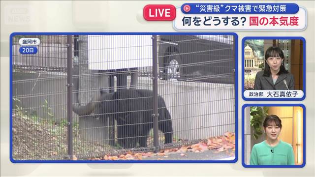 “災害級”クマ被害で緊急対策　何をどうする…国の本気度は？