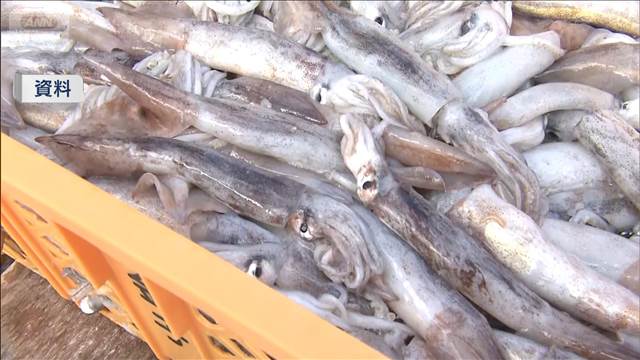 スルメイカ漁 初の停止命令 漁獲量大幅超過の小型船