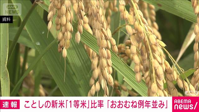 今年の新米 「1等」比率は77% 高温で懸念も「おおむね例年並み」