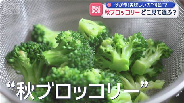 秋ブロッコリー どこ見て選ぶ? 今が旬! 美味しいのは“何色”?