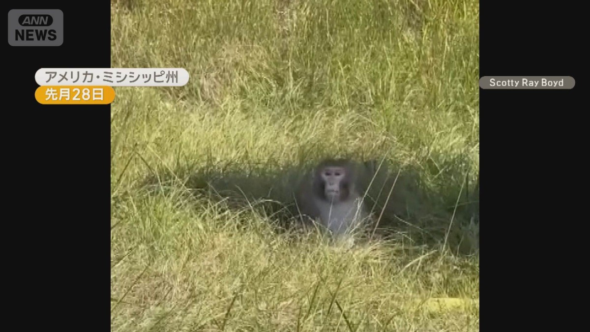 ウイルス感染の可能性ある実験用サル脱走 トラック横転で荷台から 米