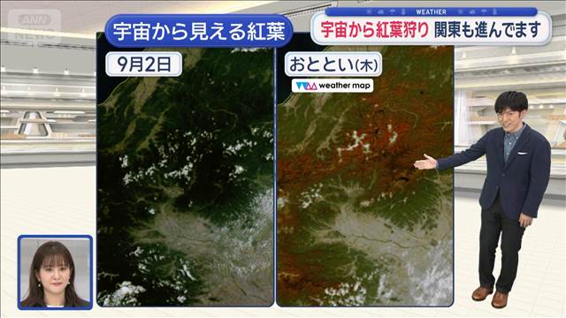 【関東の天気】東京の最高21.7℃ 11月穏やかなスタート