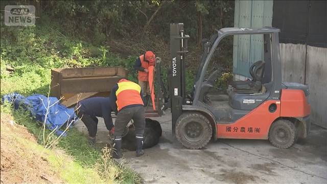 「異常。今までなかった。」 山形・福島でクマ被害 3人けが