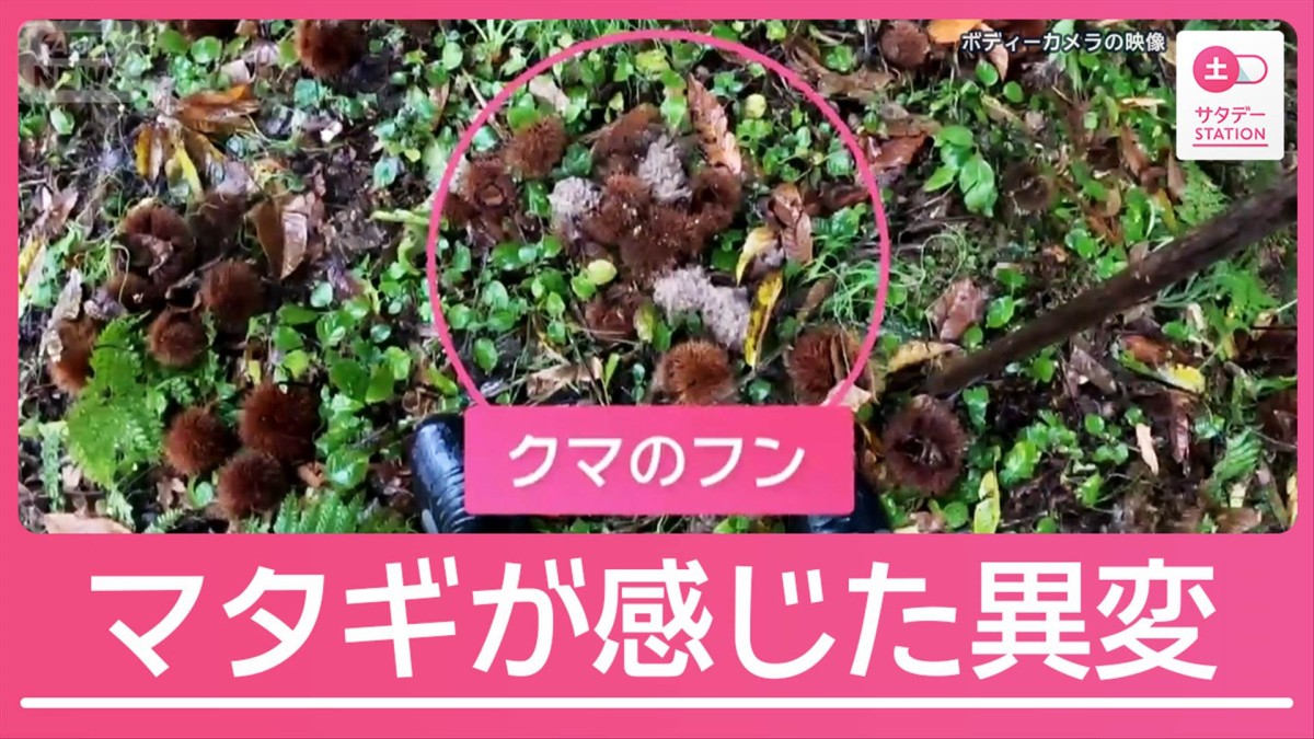 クマ狩猟解禁 “マタギ”が感じた異変 クマによる死者は過去最多12人