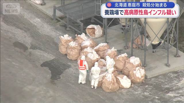 北海道恵庭市の養鶏場で鳥インフルエンザ