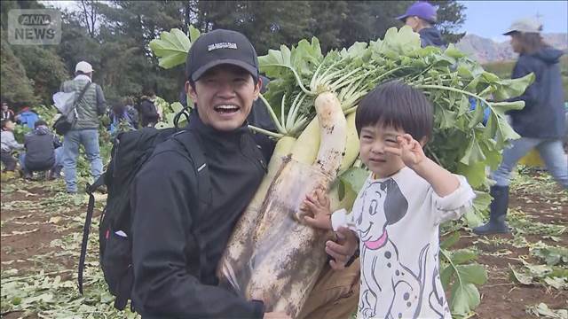 ダイコンまつり開催　猛暑も生育順調で甘く仕上がる 山梨・北杜市