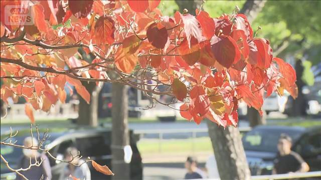 近畿で木枯らし1号発表　北日本、日本海側で荒天