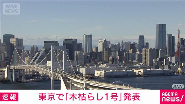 東京地方で木枯らし1号発表 去年より4日早い観測