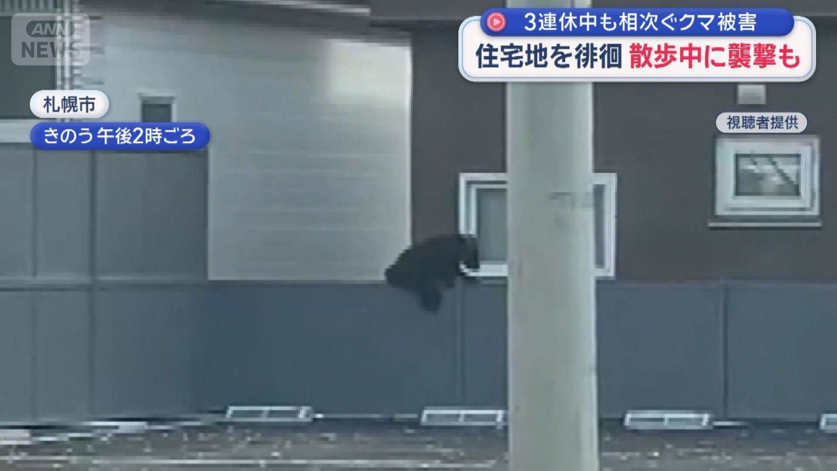 住宅地を徘徊　散歩中に襲撃も 3連休中も相次ぐクマ被害