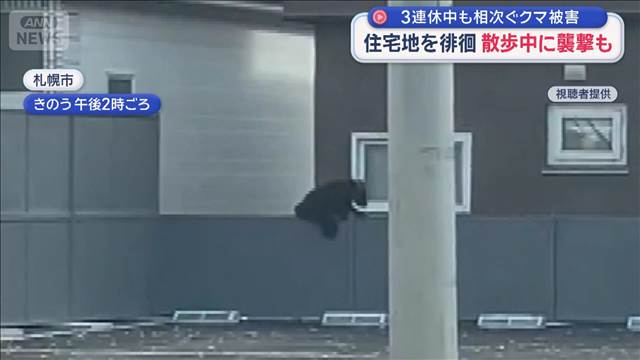 住宅地を徘徊　散歩中に襲撃も 3連休中も相次ぐクマ被害