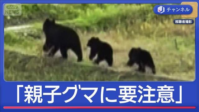 親子クマに要注意！クマスプレー検証映像