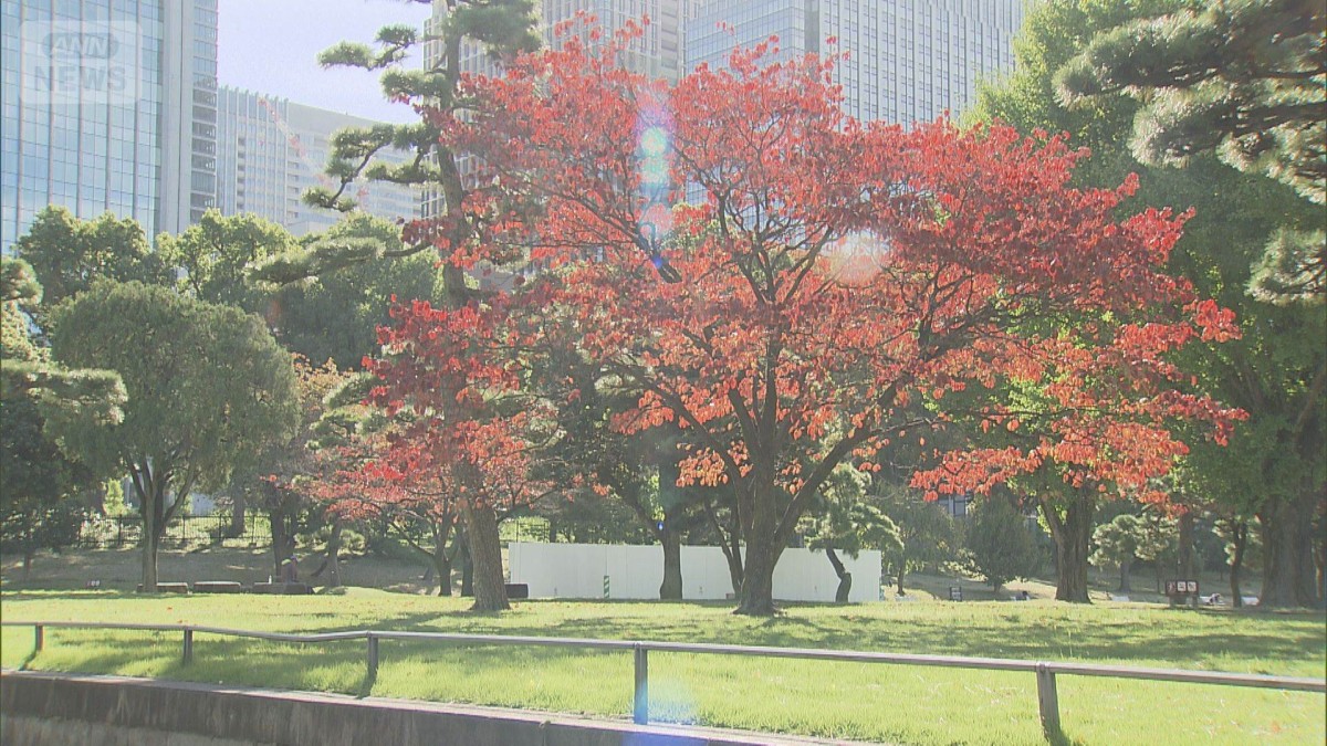4日朝は今季一番の寒さ続出 紅葉前線は山の麓へ