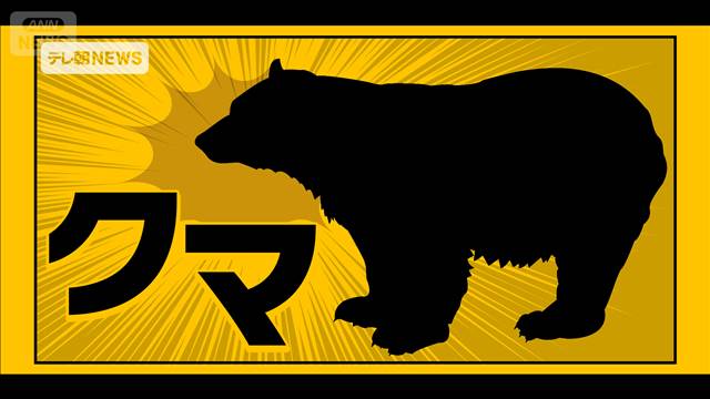 東京・日の出町でクマの目撃情報　けが人なし