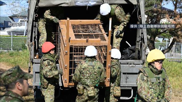 クマ被害相次ぐ秋田県　きょうから自衛隊が活動へ
