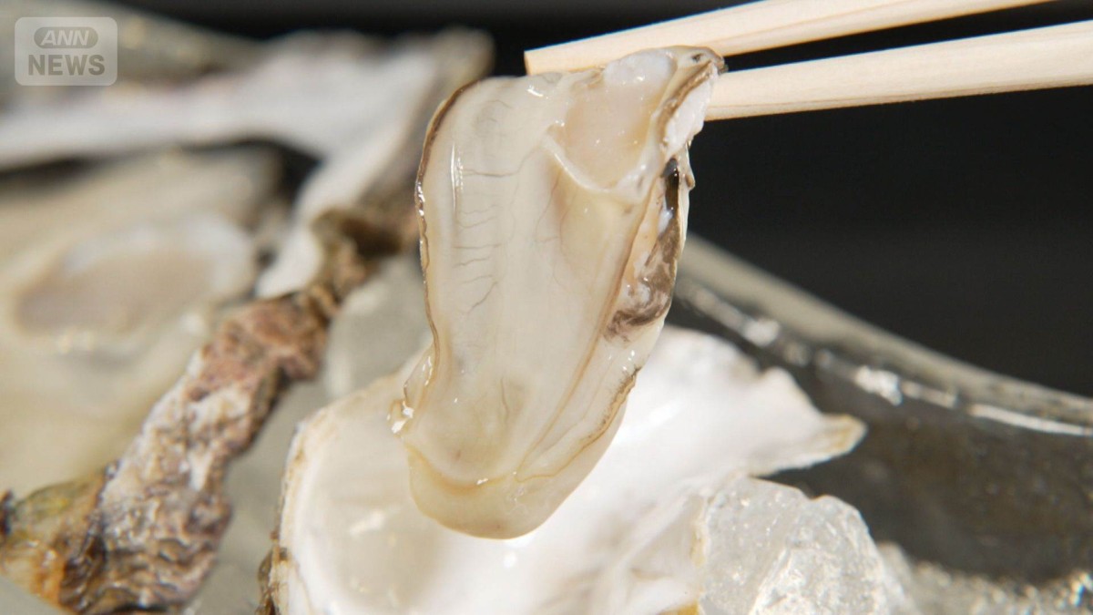 「ノロウイルス」による食中毒が増加中　カキに“あたる人”“あたらない人”違いは