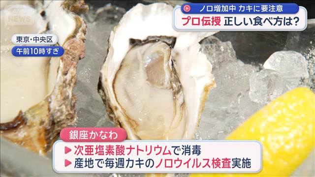 「ノロウイルス」による食中毒が増加中　カキに“あたる人”“あたらない人”違いは