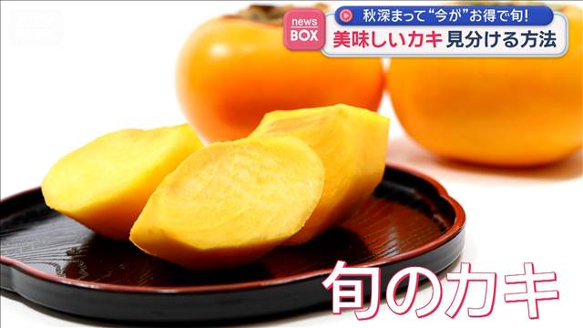 “今が”お得で旬！美味しいカキ見分ける方法　注目点は…ヘタ？色？形？