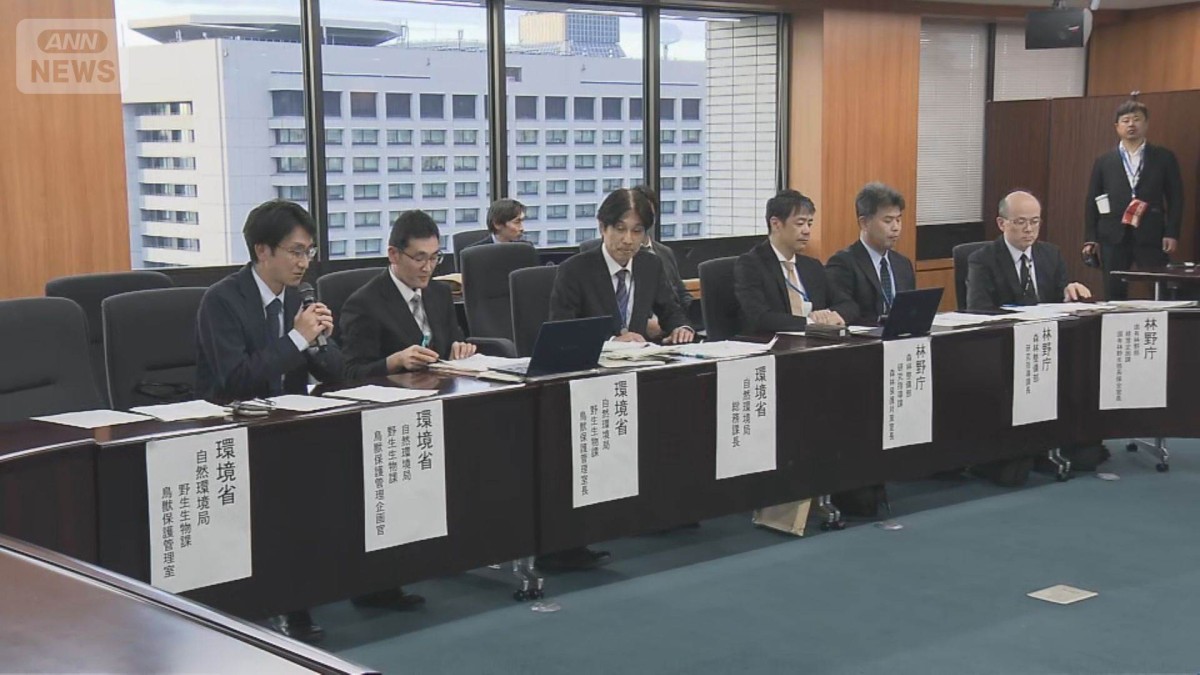 クマ対策の新たな対策パッケージ 策定に向け関係省庁が2回目の課長級会議