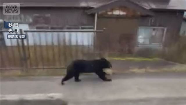 日本郵便　秋田県の一部地域で配達見合わせ　クマ被害受け