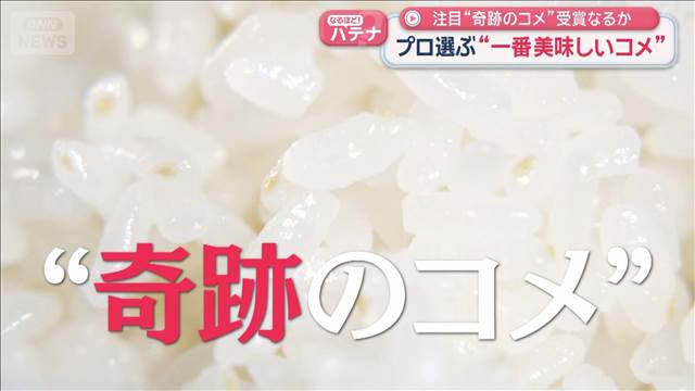 注目“奇跡のコメ”受賞なるか　プロ選ぶ“一番美味しいコメ”
