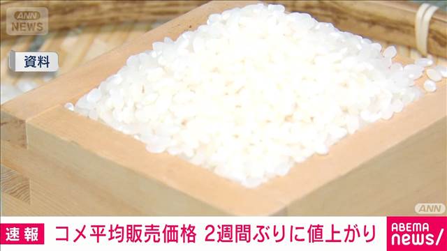 【速報】コメ価格2週ぶり値上がり4235円　銘柄米は3週連続最高値