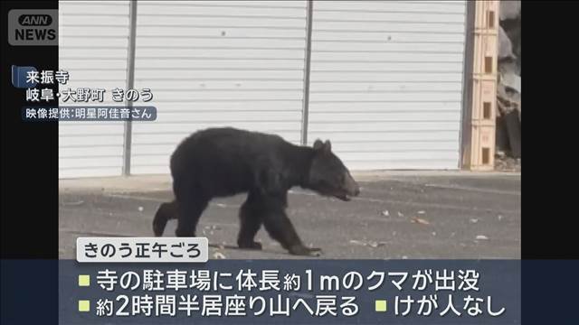 寺の駐車場にクマ出没　猟友会が周辺に罠を設置　岐阜